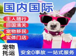 桂林机场快递国际宠物托运 【国